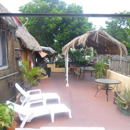 Mayan Hostel Cancún Zewnętrze zdjęcie