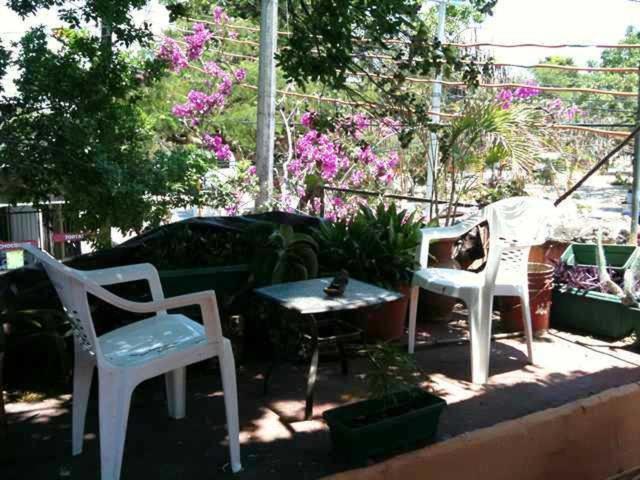 Mayan Hostel Cancún Zewnętrze zdjęcie