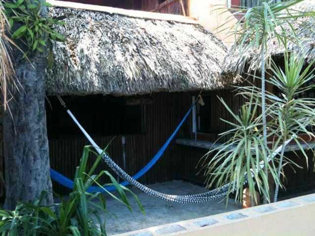 Mayan Hostel Cancún Zewnętrze zdjęcie